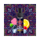 Enjoy – 10ml Full Moon Aroma
