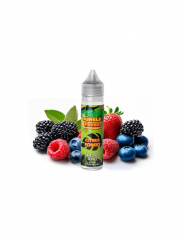 Citrus Forest – 12ml Jungle Fever Aroma in 60ml Flasche
